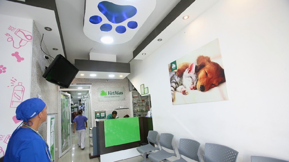 Clínica Veterinaria VetMas
