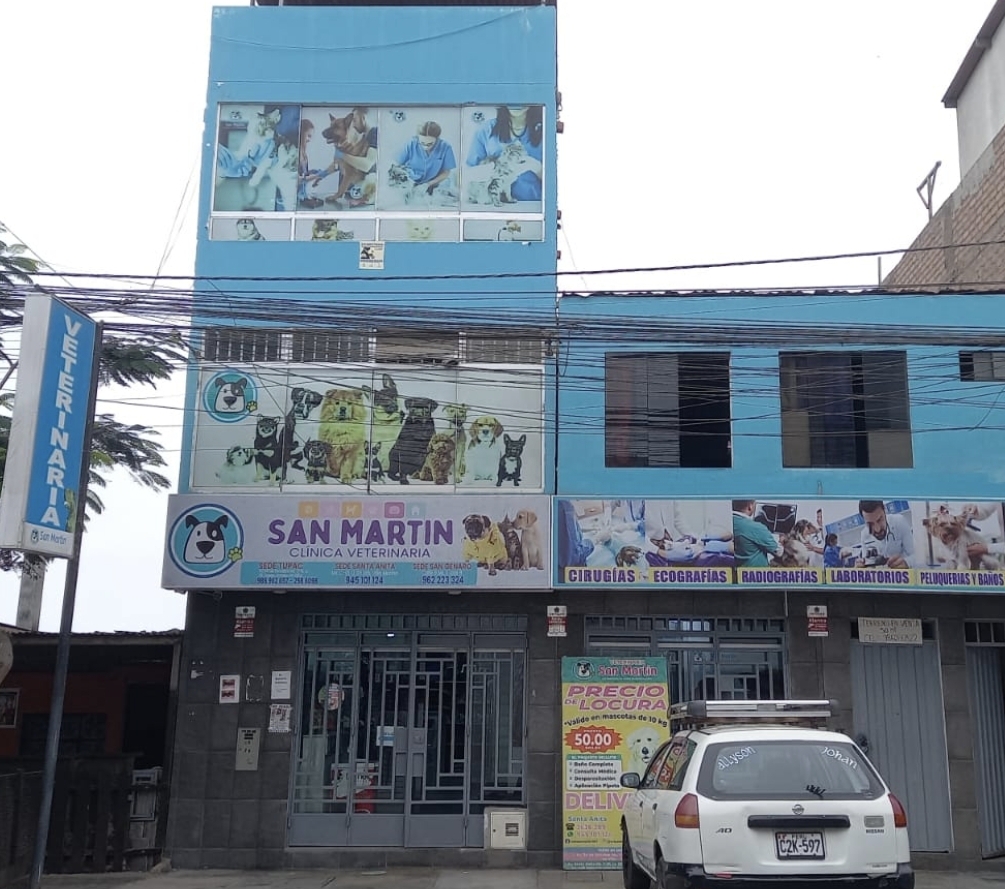 CLINICA VETERINARIA SAN MARTIN SEDE TUPAC AMARU