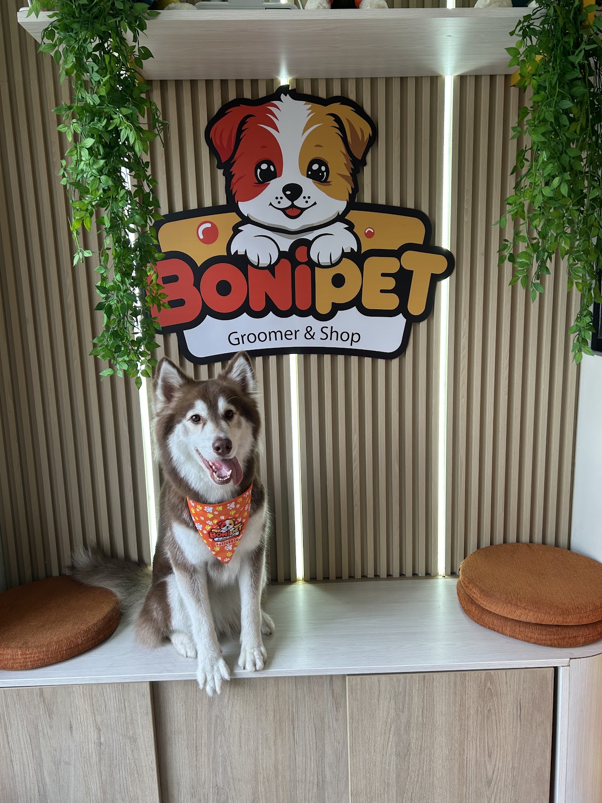 BONIPET - Groomer & Shop - Pet Spá