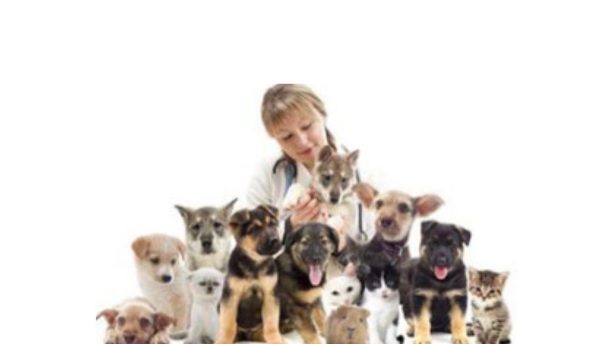 ANIMAL CLINIC PERU