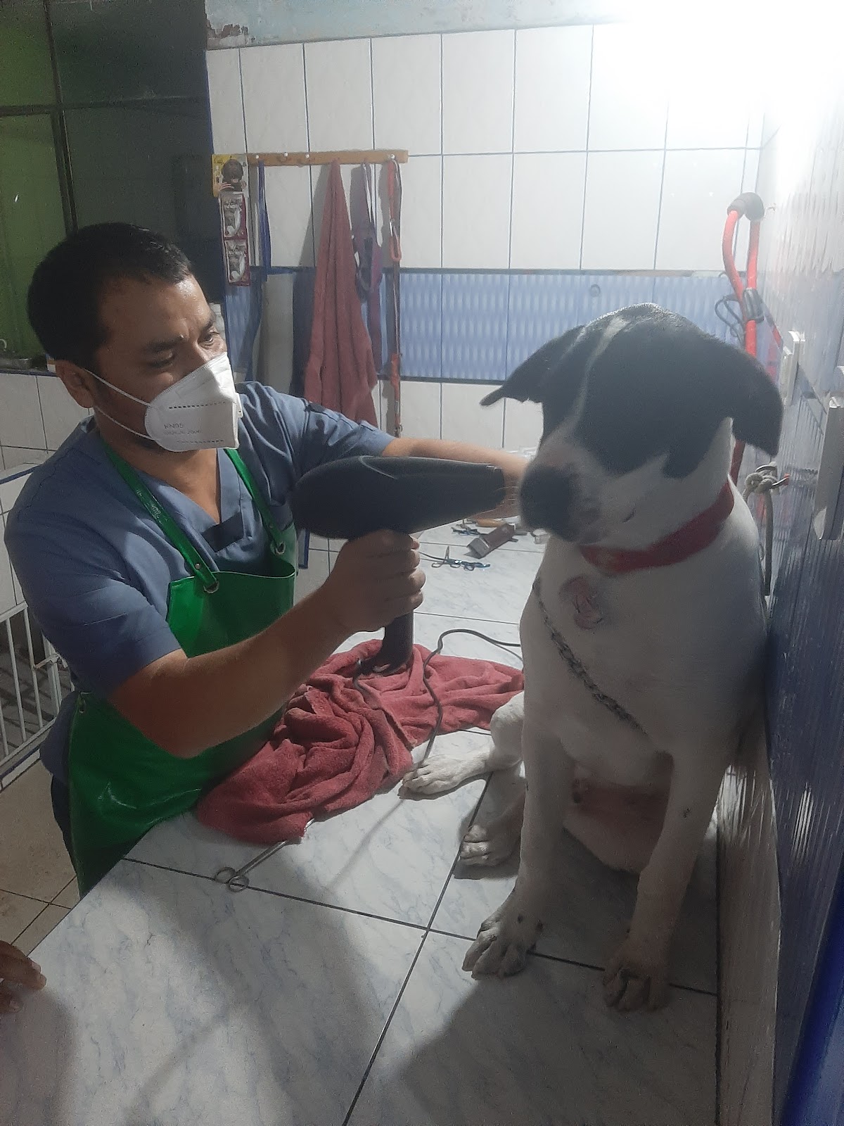 Veterinaria San Gabriel