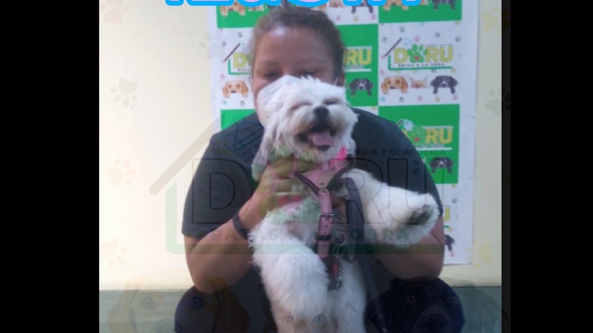 Doru peluquería y guardería cania-felina