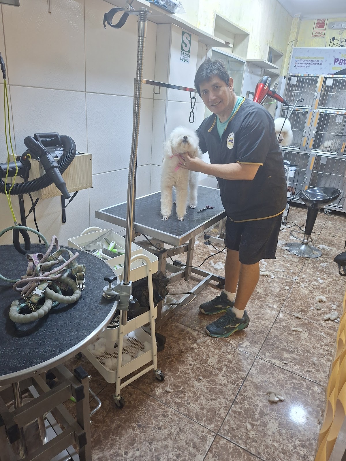 Más que patazas Peluquería Canina