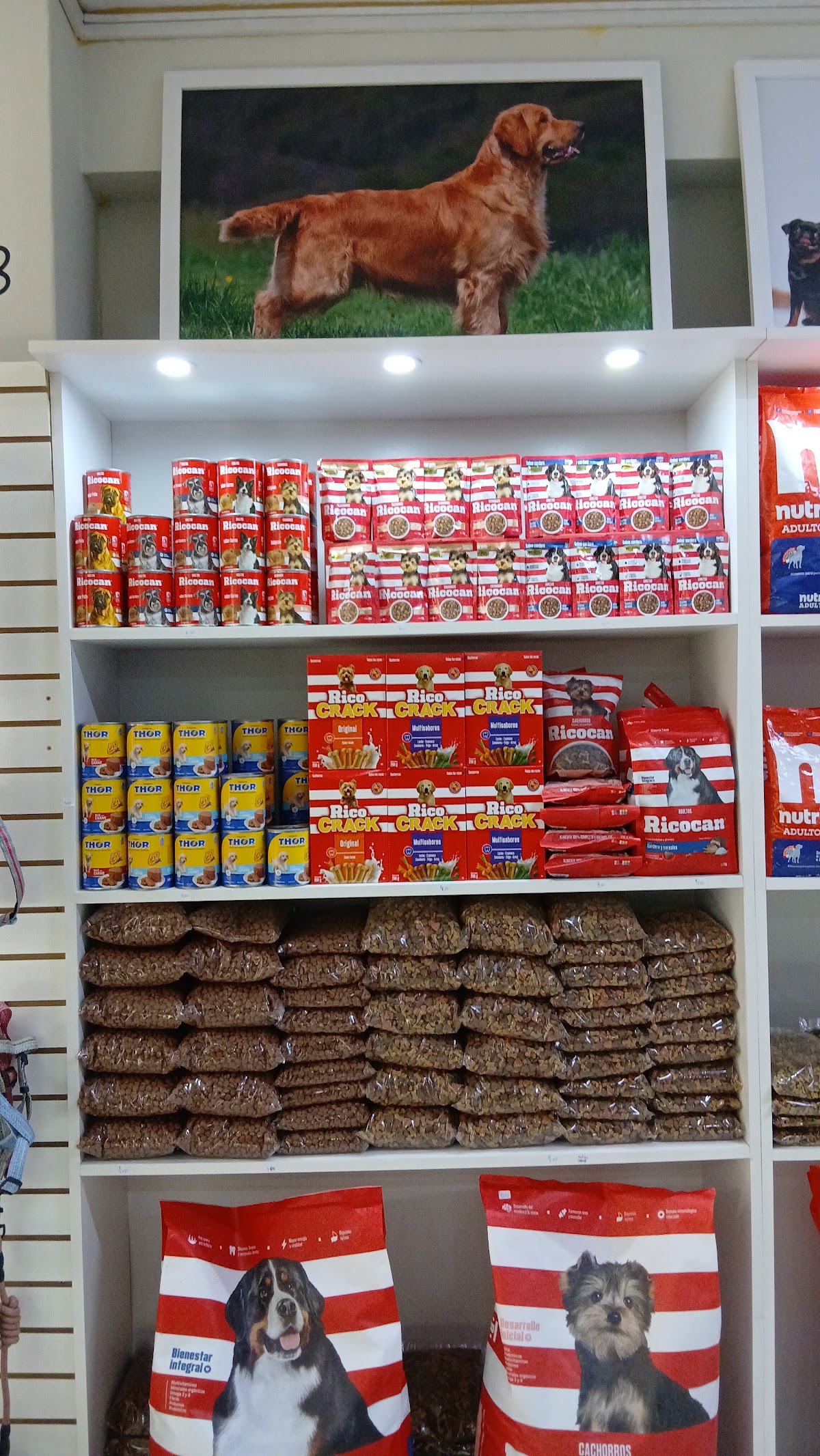 COLITA'S PET SHOP