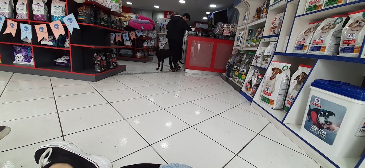Clínica Veterinaria Perros Y Gatos