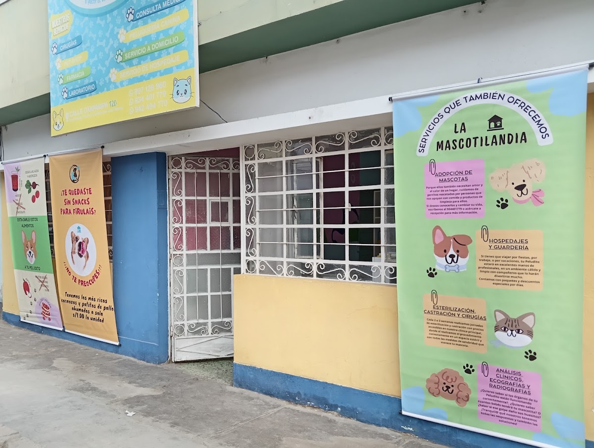 La Casa Mascotilandia Veterinaria Y Petshop