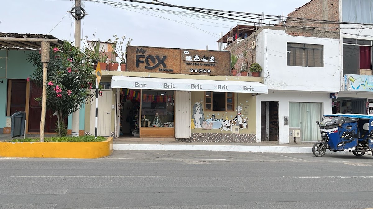 MR. FOX PETHOUSE