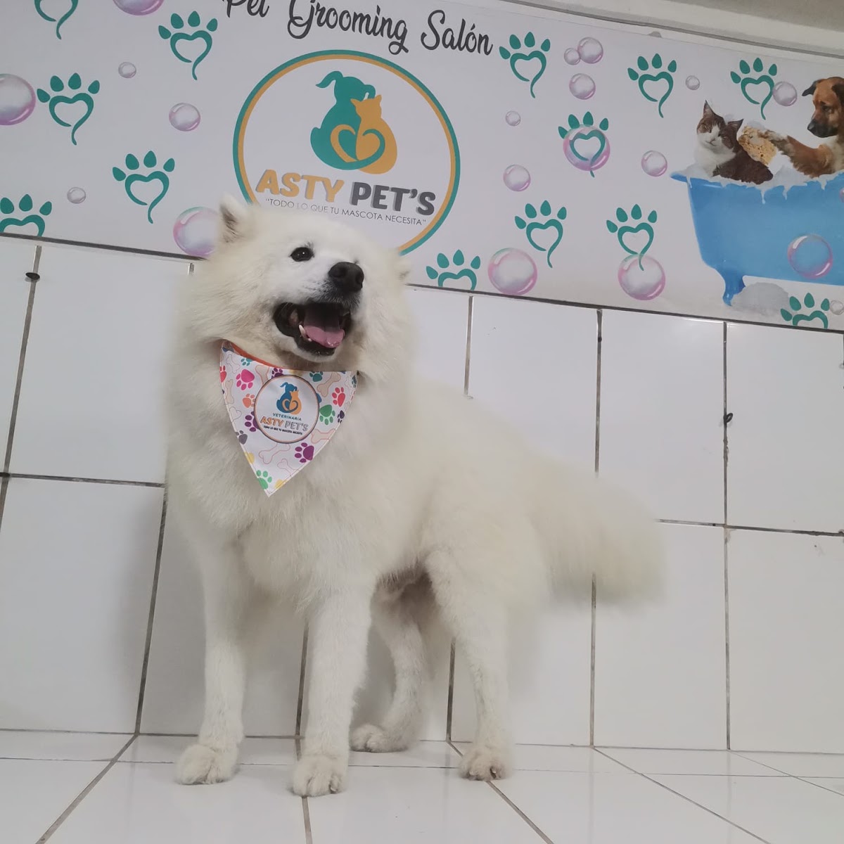 ASTY PETS - Veterinaria