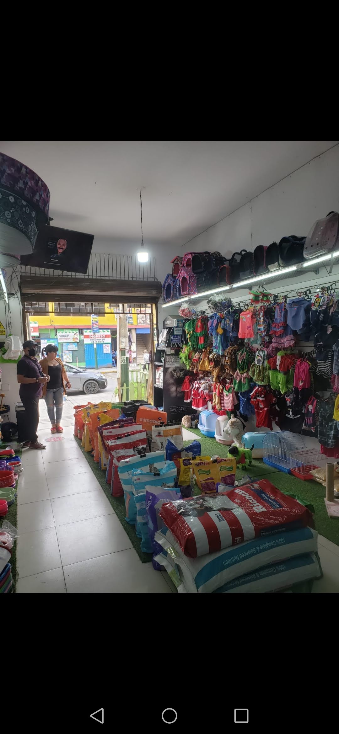Total pets ( antes : de patas) peluquería canina