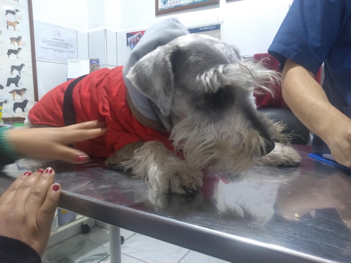 Clínica Veterinaria Mi Cachorrito Retablo