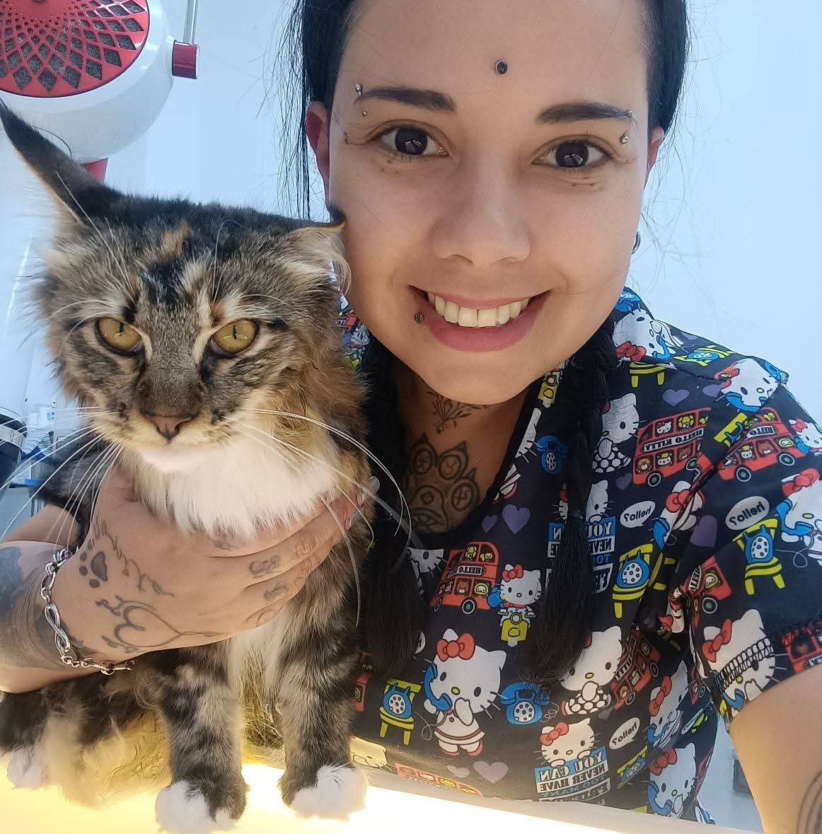 Mariale Cat Groomer & Cat Sitter