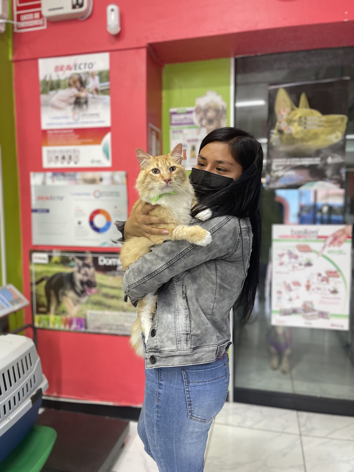 San Andrés Vet Care - Veterinaria, Grooming & PetShop
