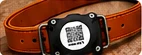 Protector WAU ID negro con QR sujeto directamente al collar.